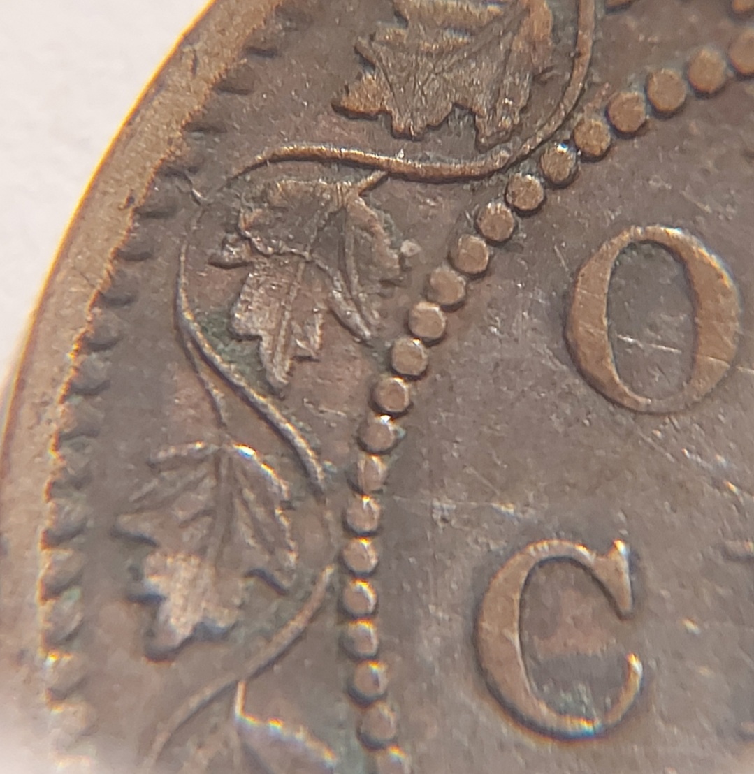 1859-Low-9-Any-Thing-Else-I-Should-Look-For-On-It?